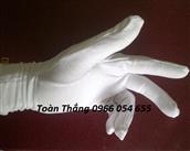 Găng tay cotton trắng